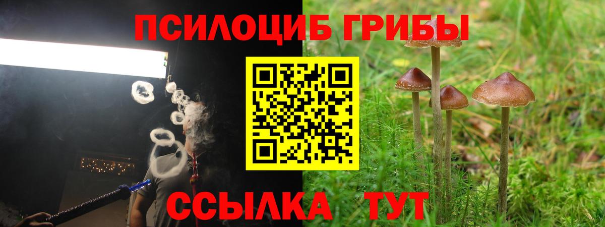 Галлюциногенные грибы Cubensis  Вход с VPN  Баксан 
