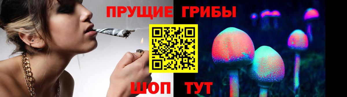 Псилоцибиновые грибы Psilocybine cubensis Баксан