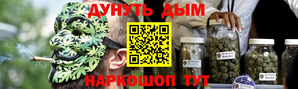 Конопля план  Конопля сатива  Баксан  Вход с VPN 